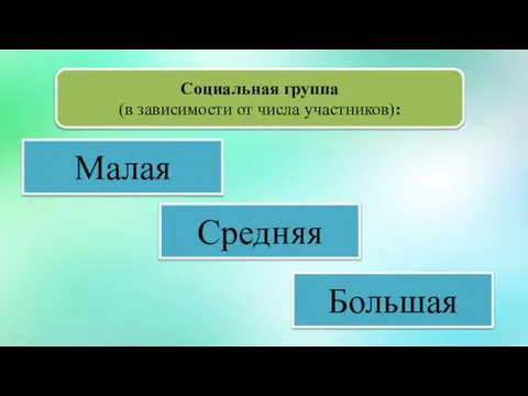 Социальная группа (в зависимости от числа участников): Малая Средняя Большая