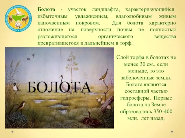 Болото - участок ландшафта, характеризующийся избыточным увлажнением, влаголюбивым живым напочвенным покровом. Для