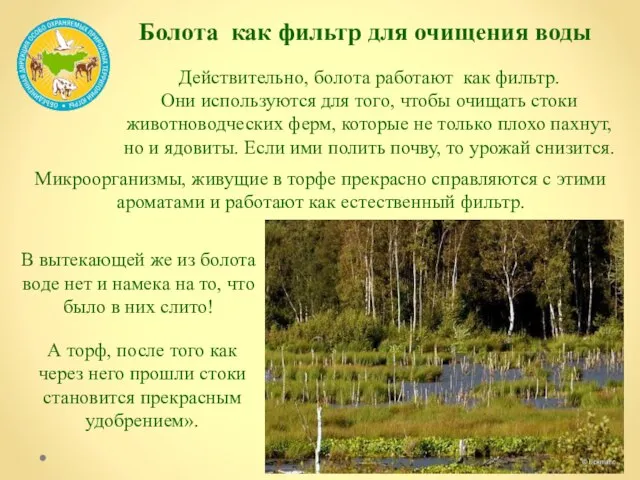 Действительно, болота работают как фильтр. Они используются для того, чтобы очищать стоки