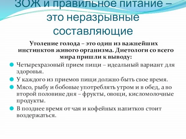 ЗОЖ и правильное питание – это неразрывные составляющие Утоление голода – это