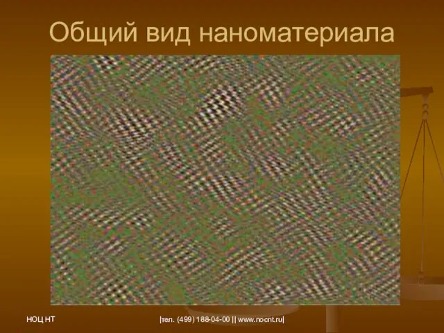 НОЦ НТ |тел. (499) 188-04-00 || www.nocnt.ru| Общий вид наноматериала