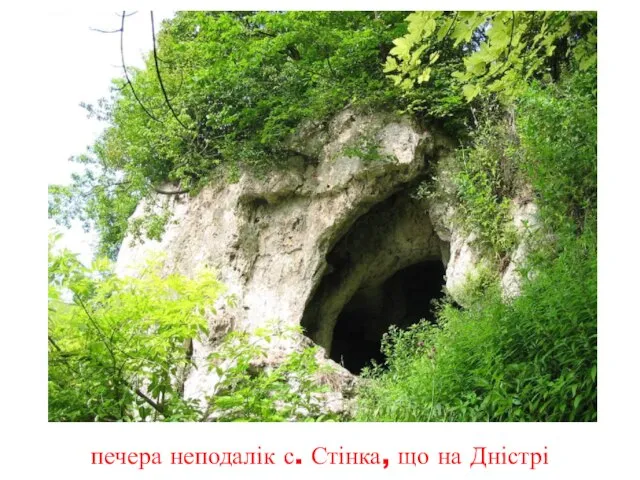 печера неподалік с. Стінка, що на Дністрі
