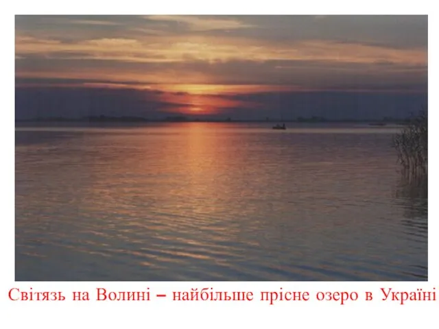 Світязь на Волині – найбільше прісне озеро в Україні
