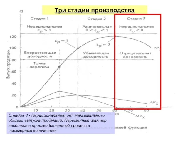 Три стадии производства Стадия 3 - Нерациональная: от максимального общего выпуска продукции.