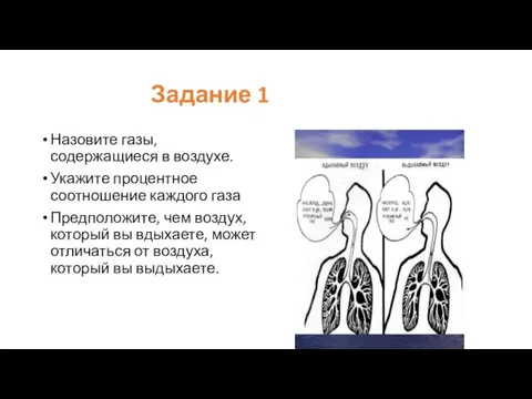 Задание 1 Назовите газы, содержащиеся в воздухе. Укажите процентное соотношение каждого газа