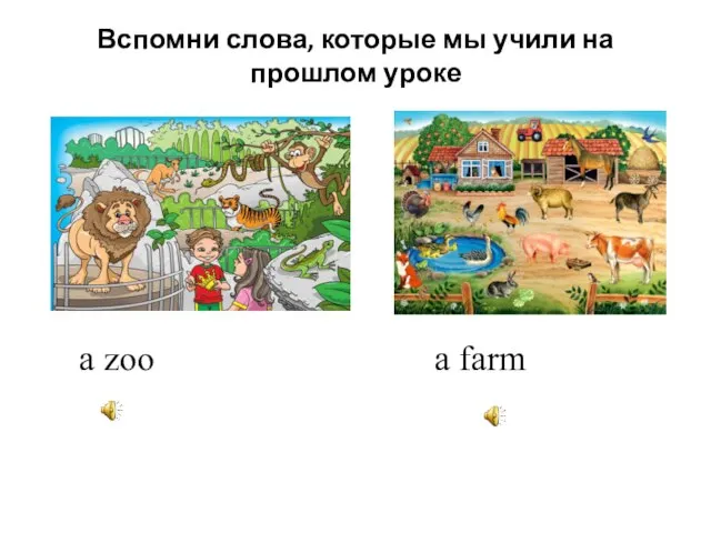 Вспомни слова, которые мы учили на прошлом уроке a zoo a farm