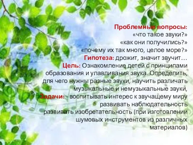 Проблемные вопросы: «что такое звуки?» «как они получились?» «почему их так много,