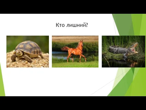 Кто лишний?