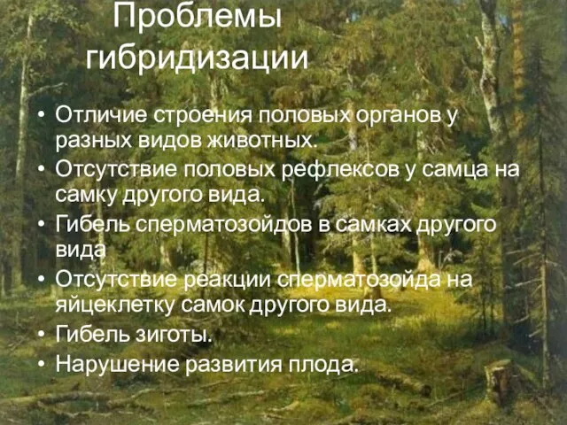 Проблемы гибридизации Отличие строения половых органов у разных видов животных. Отсутствие половых