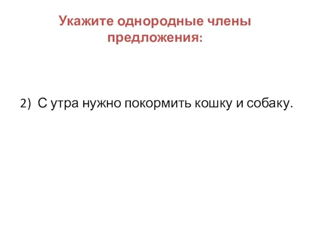 Укажите однородные члены предложения: 2) С утра нужно покормить кошку и собаку.