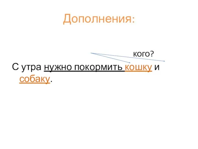 Дополнения: кого? С утра нужно покормить кошку и собаку.