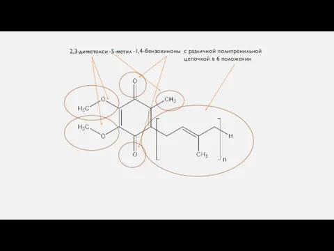 2,3-диметокси -5-метил -1,4-бензохиноны с различной полипренильной цепочкой в 6 положении