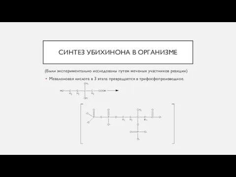 СИНТЕЗ УБИХИНОНА В ОРГАНИЗМЕ (Были экспериментально исследованы путем меченых участников реакции) Мевалоновая