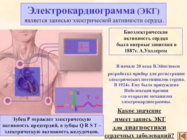 Электрокардиограмма (ЭКГ) является записью электрической активности сердца. Биоэлектрическая активность сердца была впервые