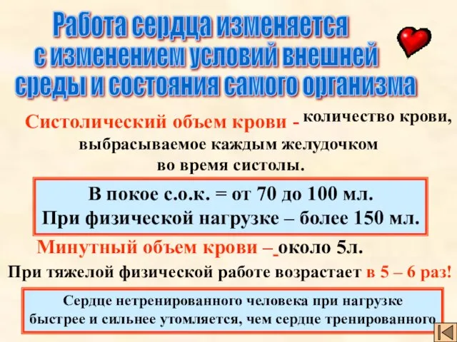 Работа сердца изменяется с изменением условий внешней среды и состояния самого организма