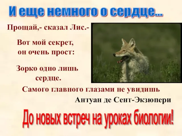 И еще немного о сердце... Прощай,- сказал Лис.- Вот мой секрет, он