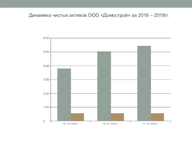 Динамика чистых активов ООО «Домострой» за 2016 – 2018гг.