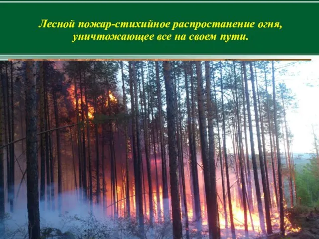 Лесной пожар-стихийное распростанение огня, уничтожающее все на своем пути.