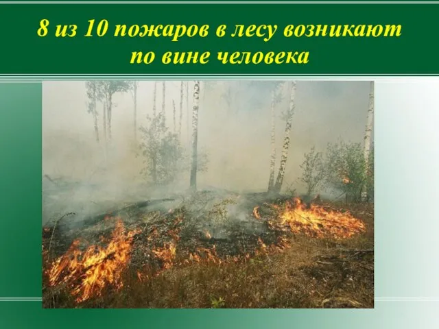 8 из 10 пожаров в лесу возникают по вине человека