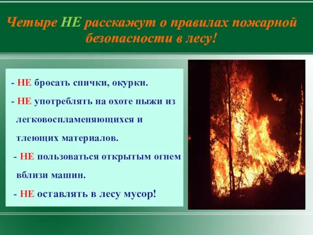 Четыре НЕ расскажут о правилах пожарной безопасности в лесу! - НЕ бросать