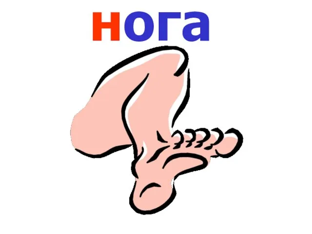 нога