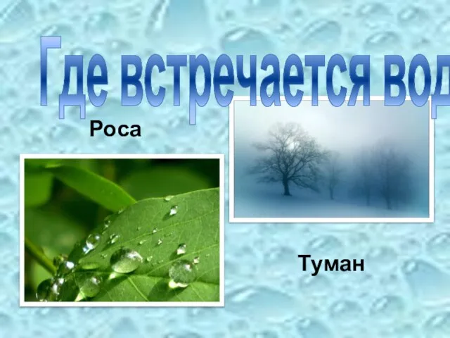 Роса Туман Где встречается вода