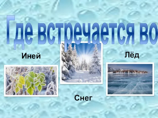 Снег Лёд Где встречается вода Иней