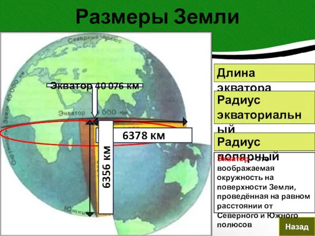 Размеры Земли Назад Длина экватора Радиус экваториальный Радиус полярный Экватор 40 076