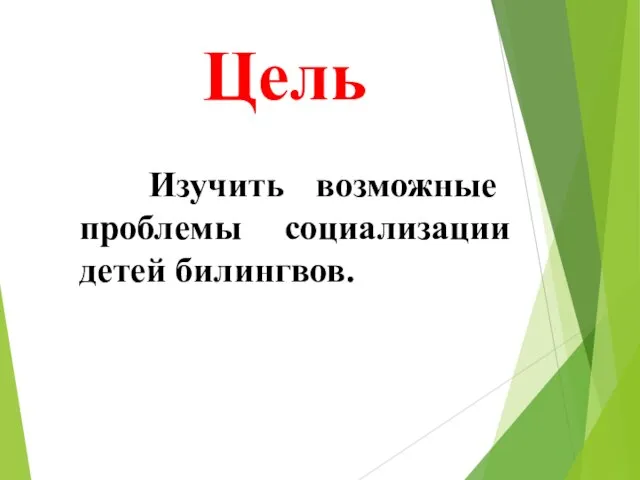 Цель Изучить возможные проблемы социализации детей билингвов.