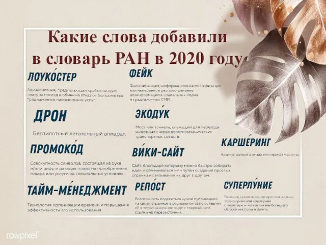 Какие слова добавили в словарь РАН в 2020 году