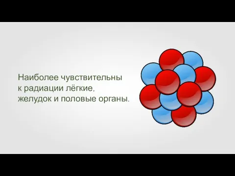 Наиболее чувствительны к радиации лёгкие, желудок и половые органы.