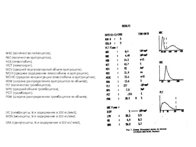 WBC (количество лейкоцитов), RBC (количество эритроцитов), HGB (гемоглобин), НСТ (гематокрит), MCV (средний