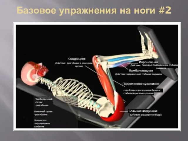 Базовое упражнения на ноги #2