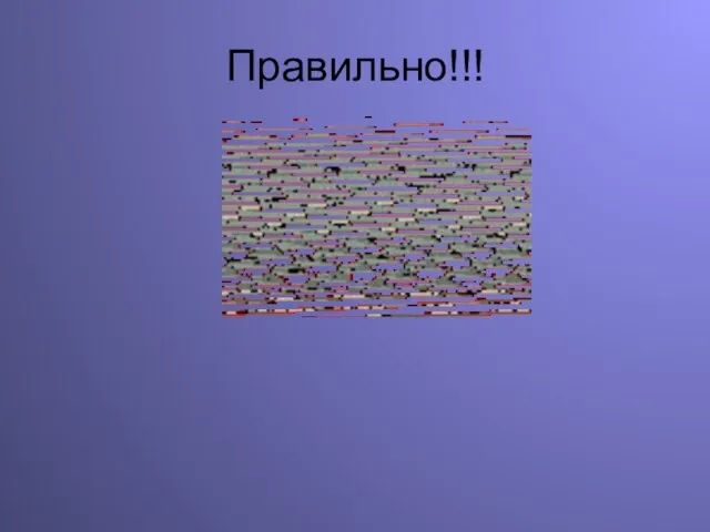 Правильно!!!