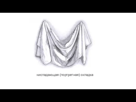 ниспадающая (портретная) складка