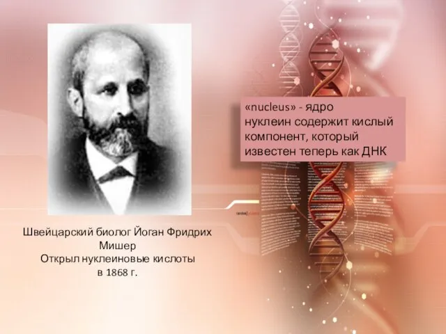 Швейцарский биолог Йоган Фридрих Мишер Открыл нуклеиновые кислоты в 1868 г. «nucleus»
