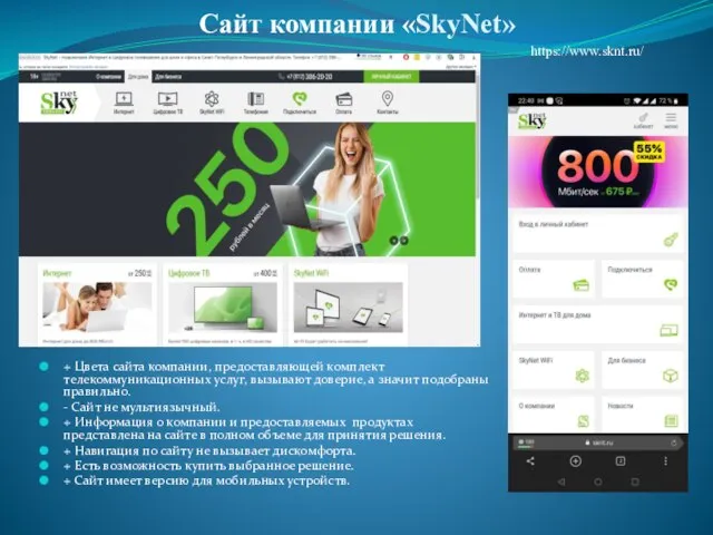 Сайт компании «SkyNet» + Цвета сайта компании, предоставляющей комплект телекоммуникационных услуг, вызывают