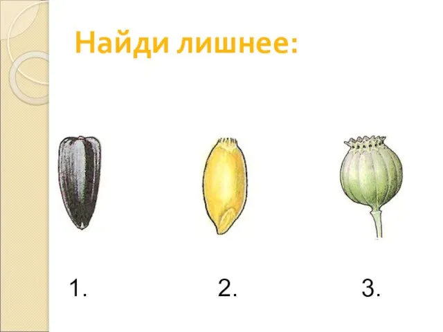 Найди лишнее: 1. 2. 3.