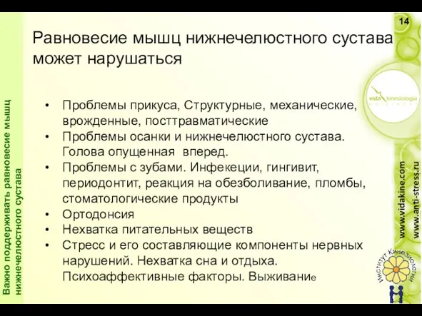 Равновесие мышц нижнечелюстного сустава может нарушаться El equilibrio de los músculos de