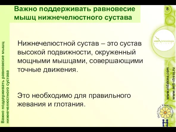 Нижнечелюстной сустав – это сустав высокой подвижности, окруженный мощными мышцами, совершающими точные