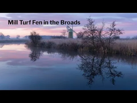 Mill Turf Fen in the Broads