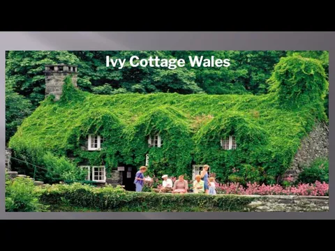 Ivy Cottage Wales