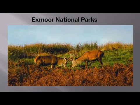 Exmoor National Parks
