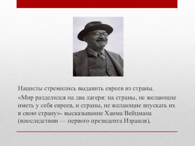 Нацисты стремились выдавить евреев из страны. «Мир разделился на два лагеря: на