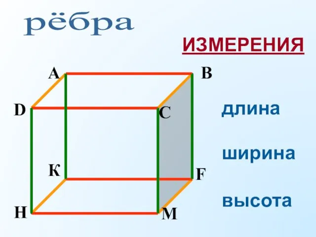 рёбра длина ширина высота ИЗМЕРЕНИЯ