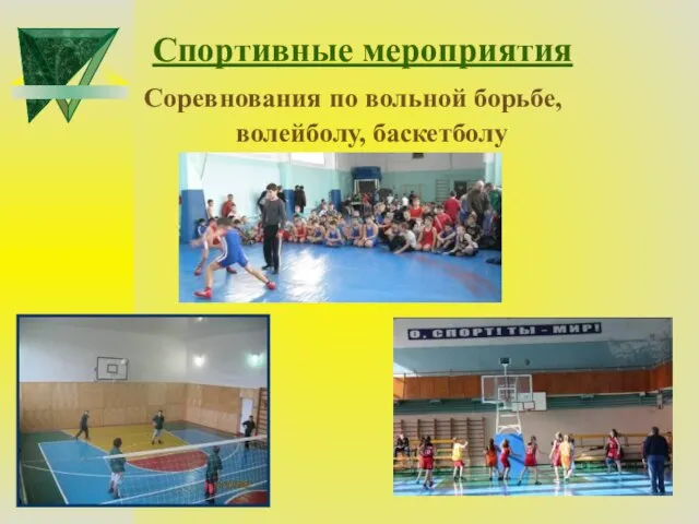 Спортивные мероприятия Соревнования по вольной борьбе, волейболу, баскетболу