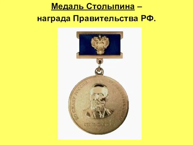 Медаль Столыпина – награда Правительства РФ.