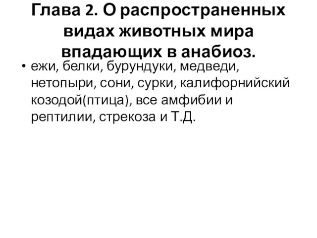 Глава 2. О распространенных видах животных мира впадающих в анабиоз. ежи, белки,