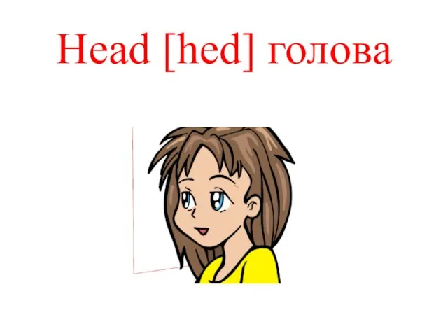 Head [hed] голова