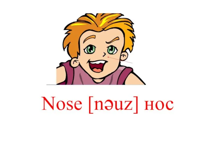 Nose [nəuz] нос